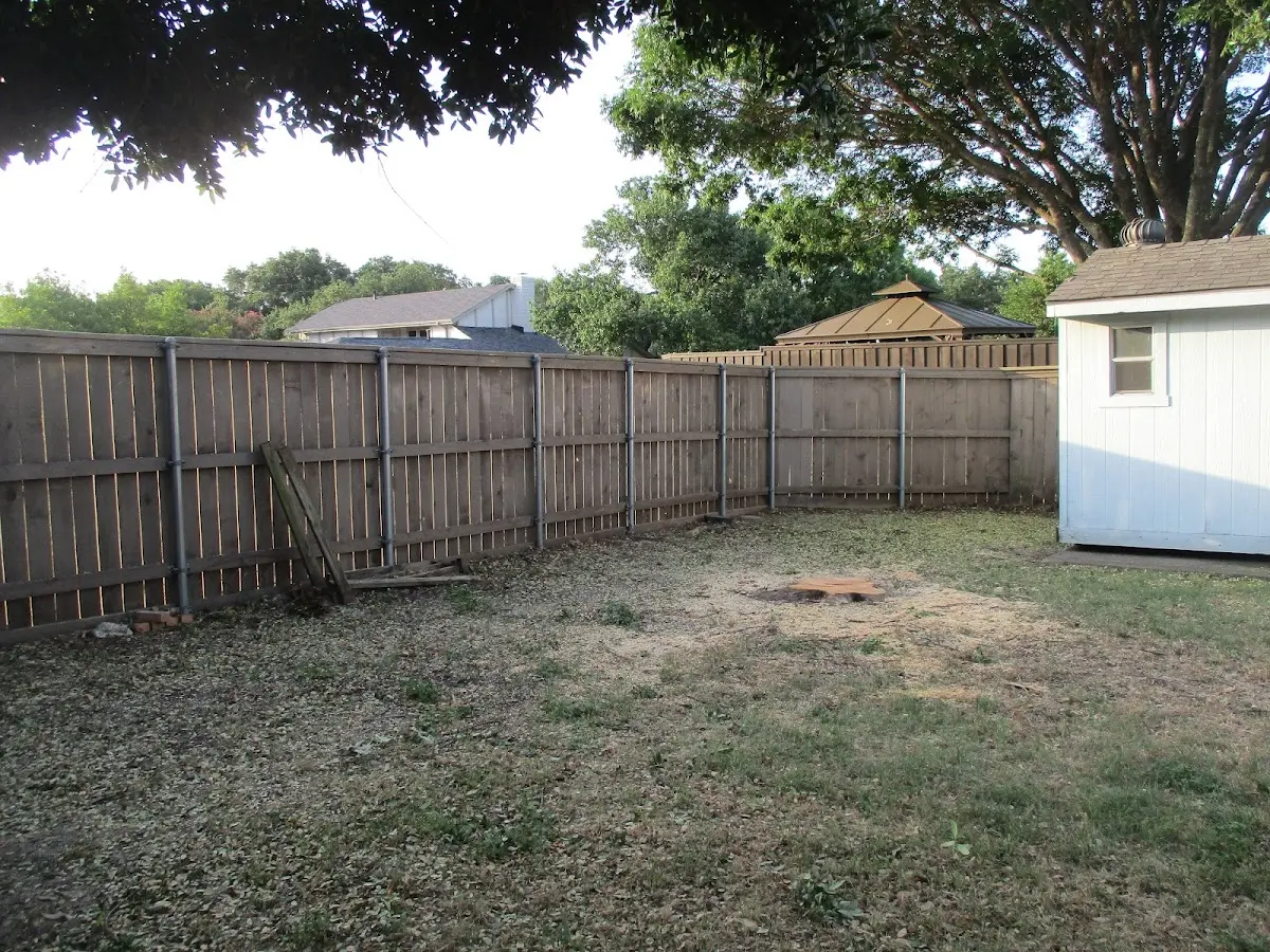 Cleared yard after professional tree removal in Danvers