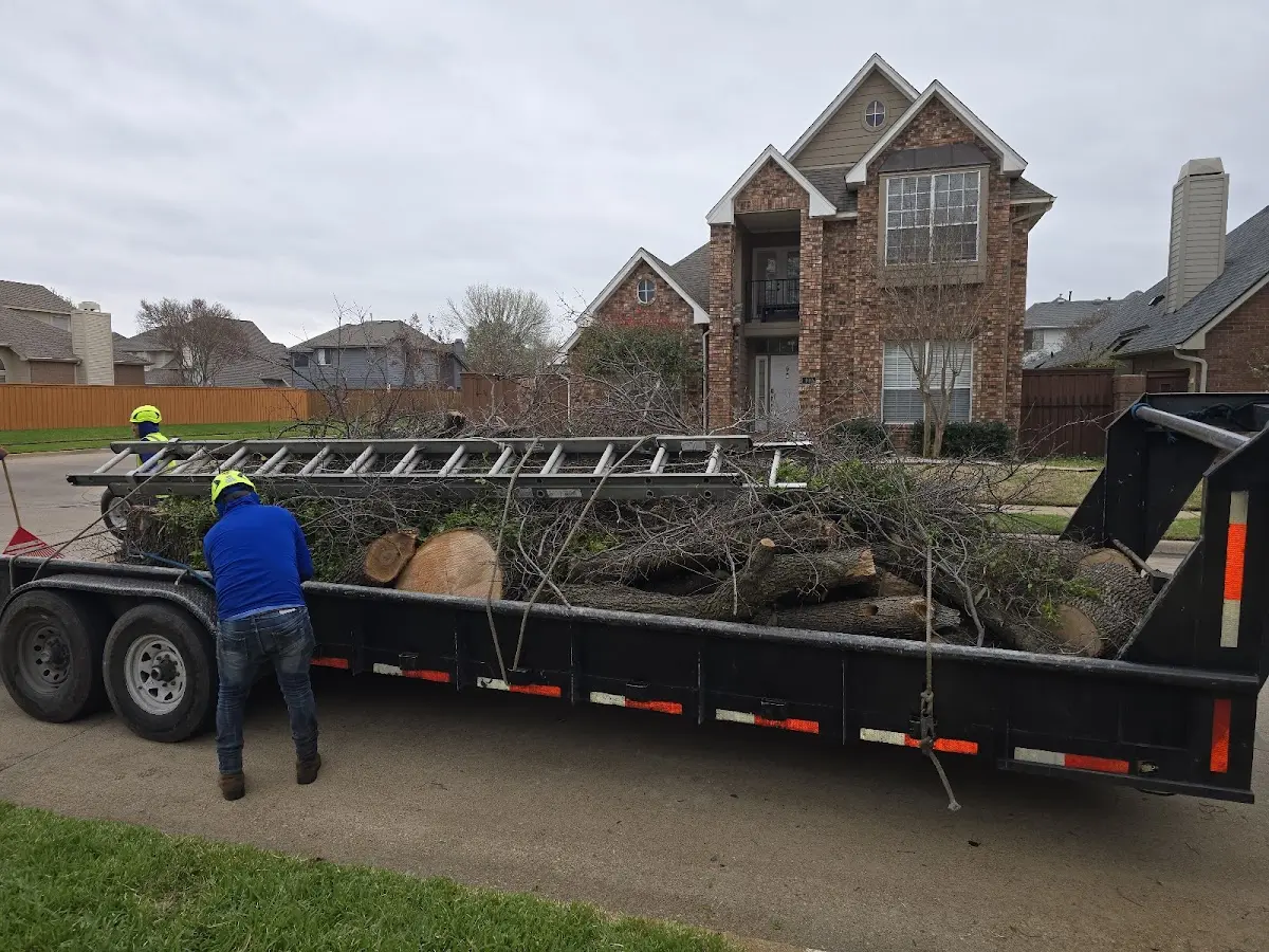 Expert Tree Fertilization with proper safety equipment in Danvers